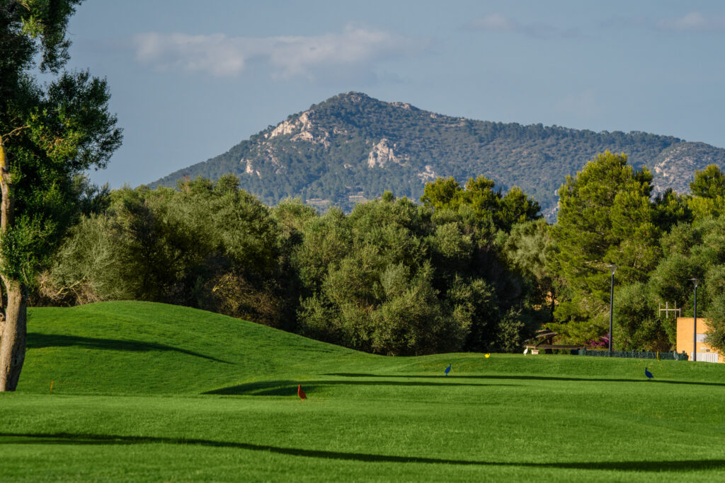 Fairway with trees and mountain in background at Son Antem - West Course