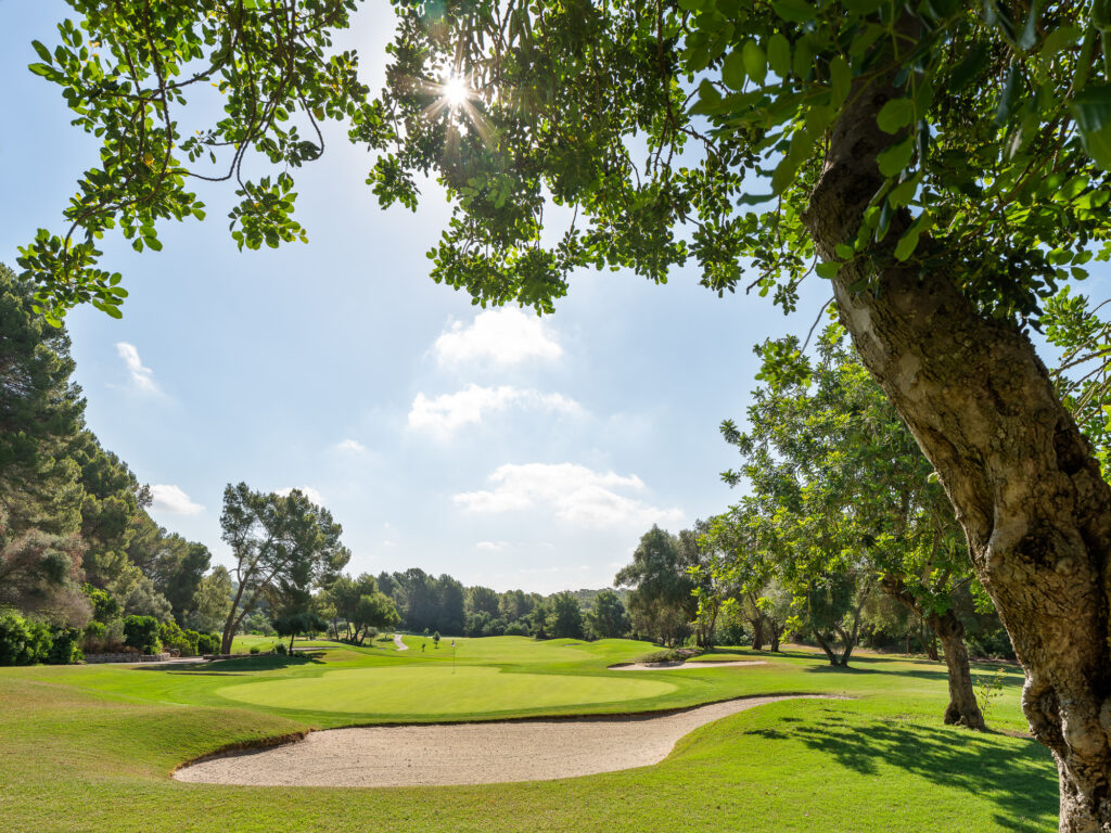 Hole with bunker and trees around at Son Muntaner Golf Course