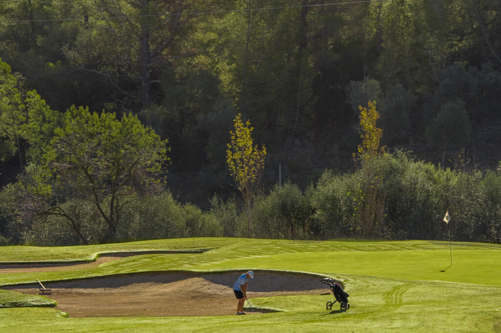 Person playing golf at Son Quint Golf Course with trees in background