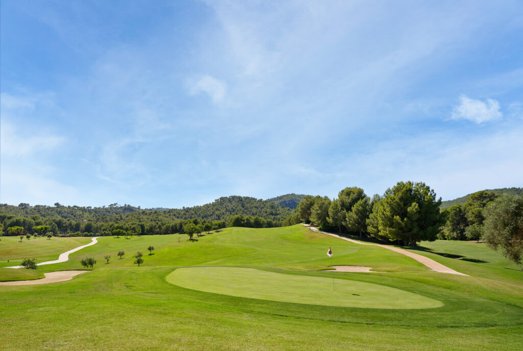 A hole with fairway and trees at Son Quint Golf Course