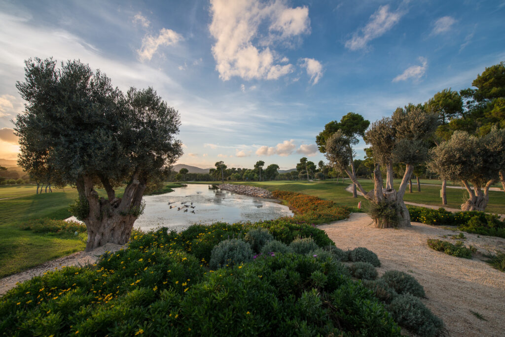 Lake with bunker and trees around at Son Servera Golf Course