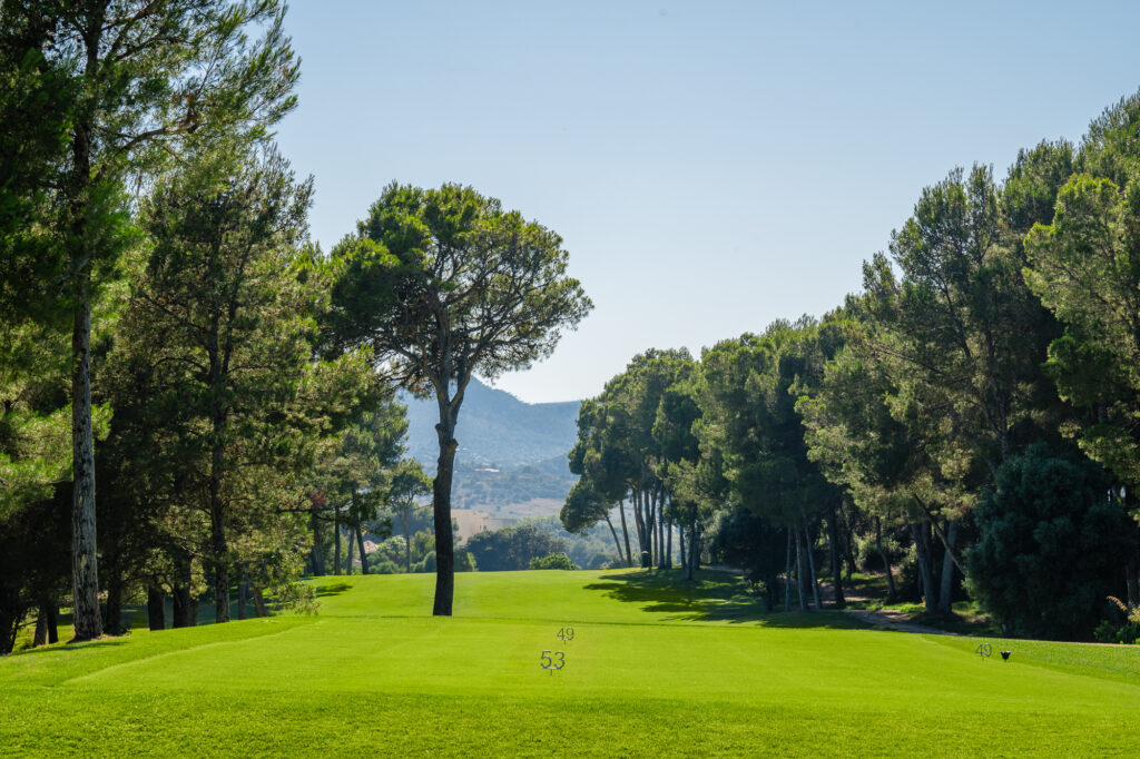 Trees on fairway at Son Servera Golf Course