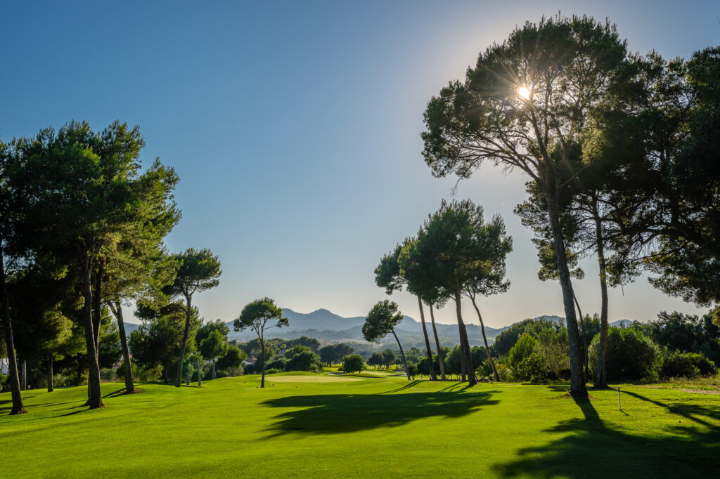 Trees on fairway at Son Servera Golf Course