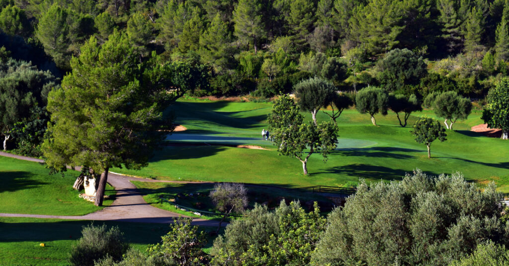 Fairway with trees around at Son Termes Golf Course