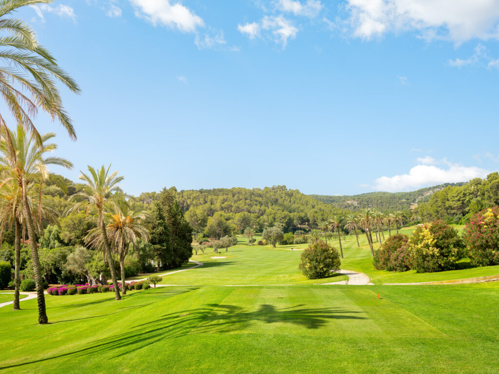 Tee box looking out at the fairway with trees around at Son Vida Golf Course