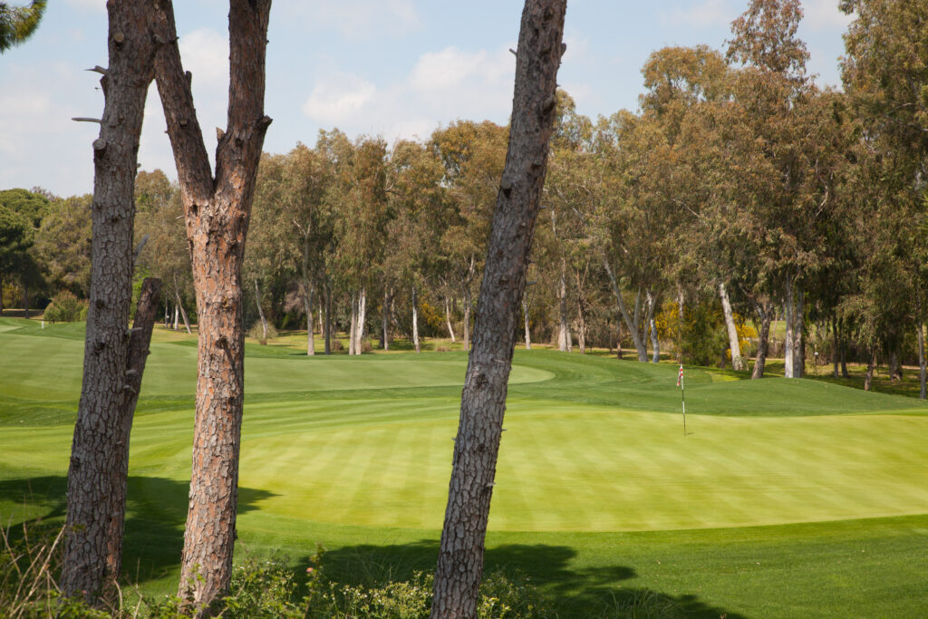 Hole with trees around at PGA Sultan Golf Course