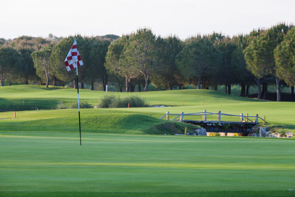 Hole with red and white checkered flag with trees in background at PGA Sultan Golf Course