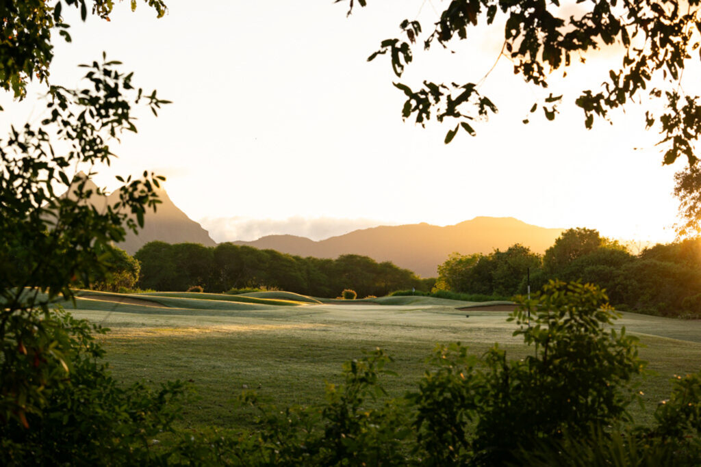 View of the fairway through trees at Tamarina Golf Club at sunset