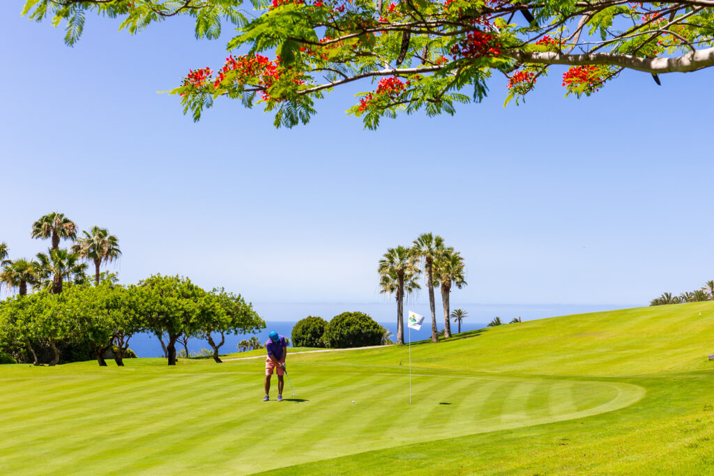 Person playing golf at Tecina Golf with trees around