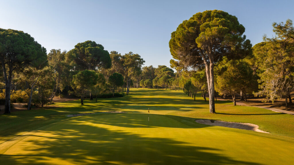 Hole with trees and fairway in background at The National Golf Course