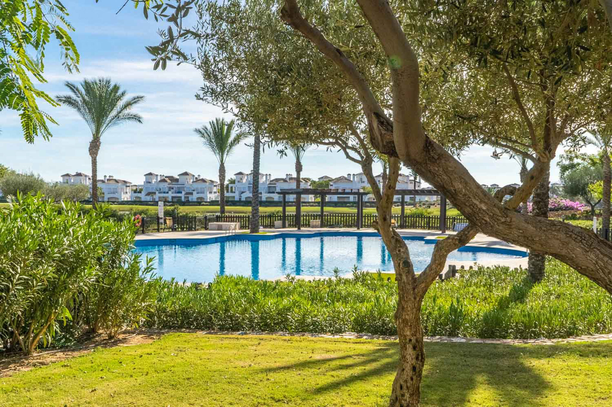 Outdoor pool at The Residences at La Torre