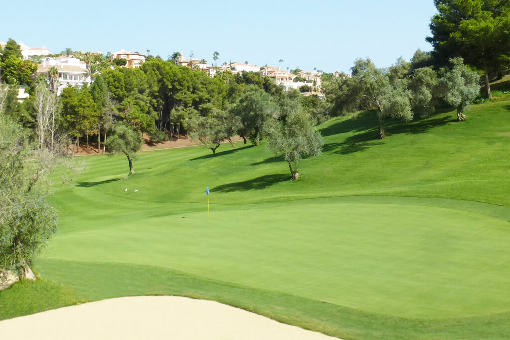 Hole with trees around at Torrequebrada Golf Course