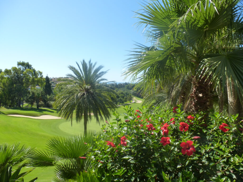 Flowers and trees on Torrequebrada Golf Course