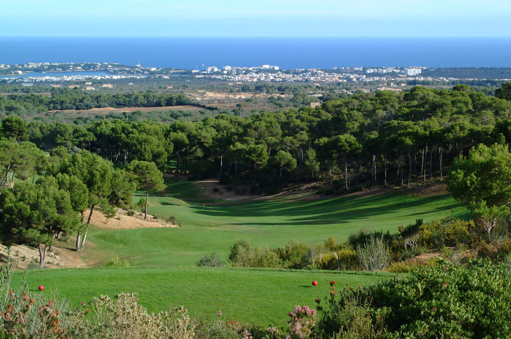 Fairway with trees around at Vall D'Or Golf Course