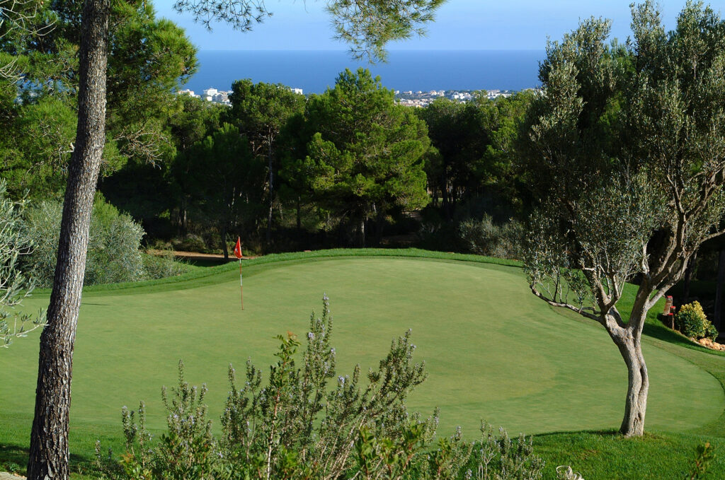 Hole with trees around at Vall D'Or Golf Course