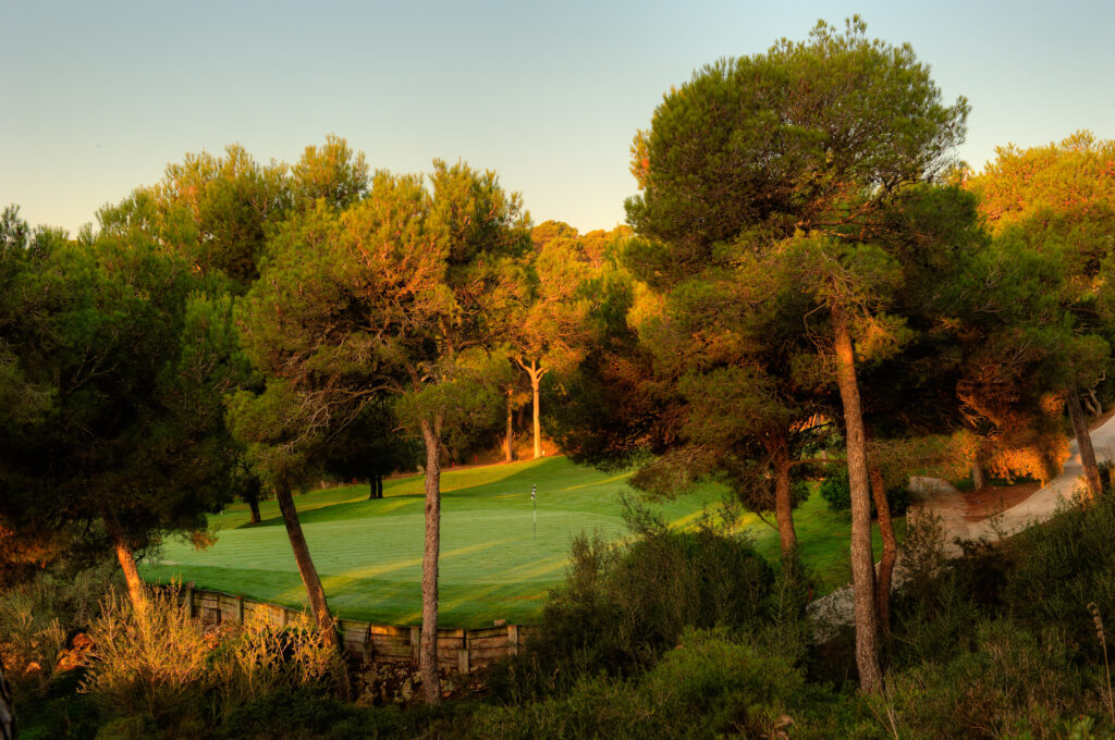 Trees around a hole at sunset at Vall D'Or Golf Course