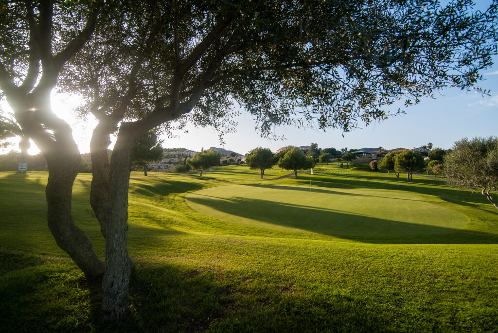 A hole at Vall D'Or Golf Course with trees around