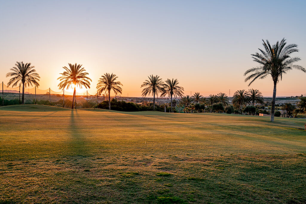 Fairway with palm trees at sunset at Valle Del Este Golf Course