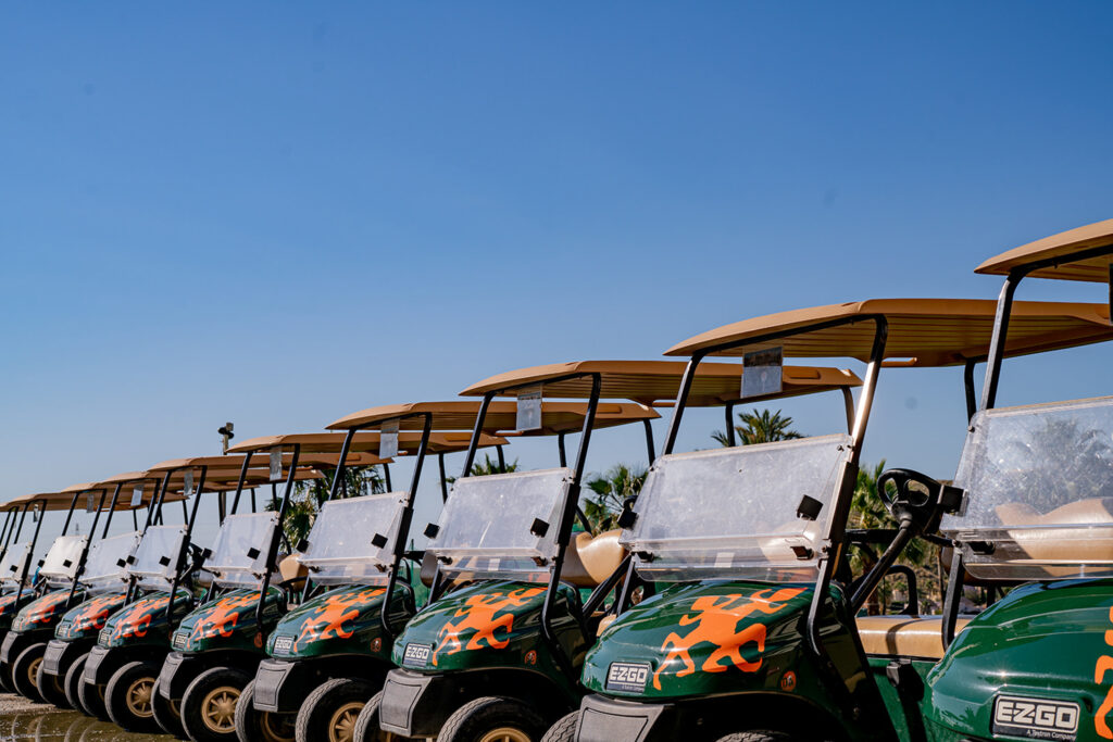 Buggies at Valle Del Este Golf Resort