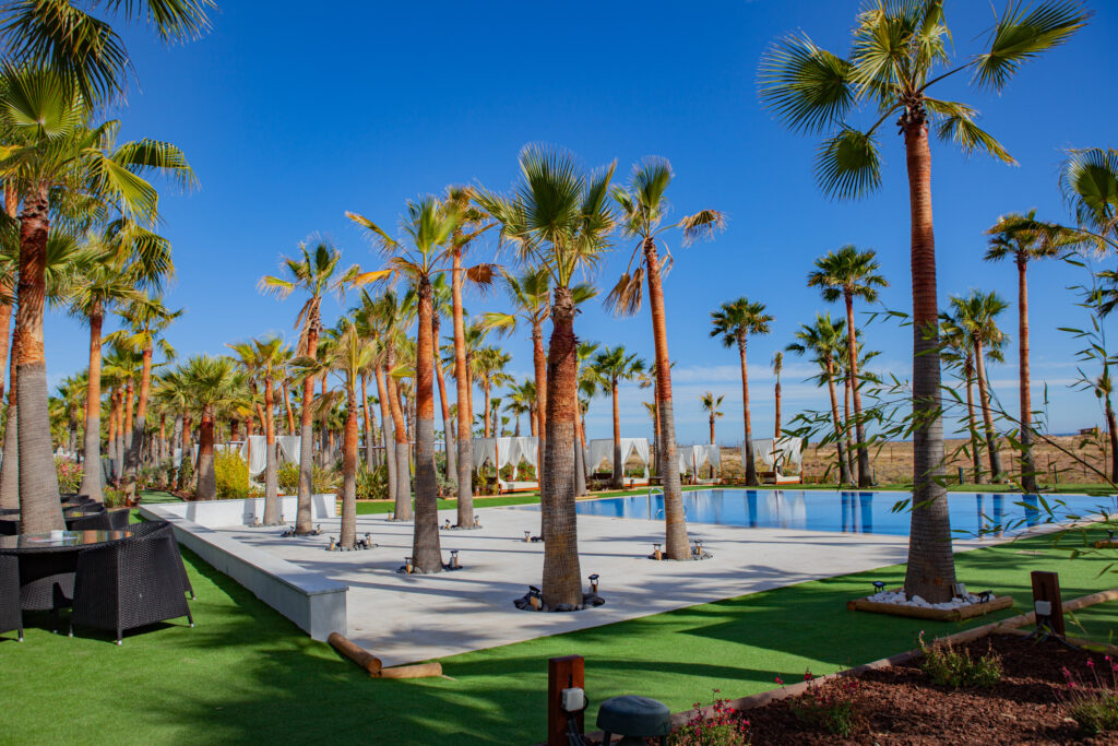 Palm trees by outdoor pool at Vidamar Resort Hotel Algarve