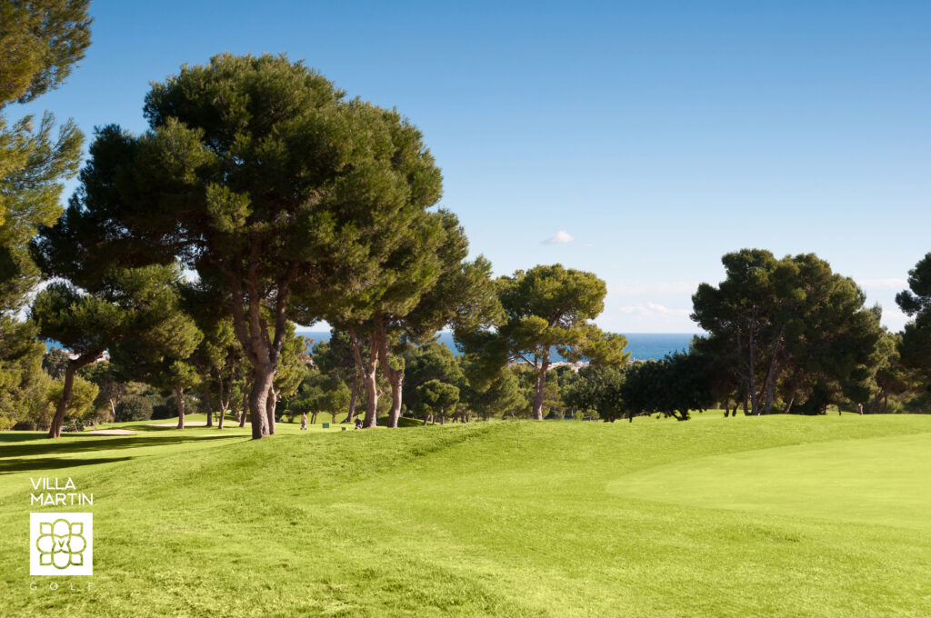 Fairway with trees around at Villamartin Golf Course