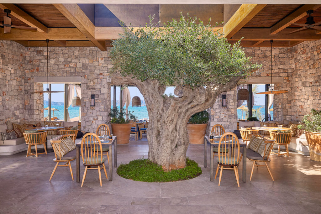 Outdoor dining with tree in centre at W Costa Navarino