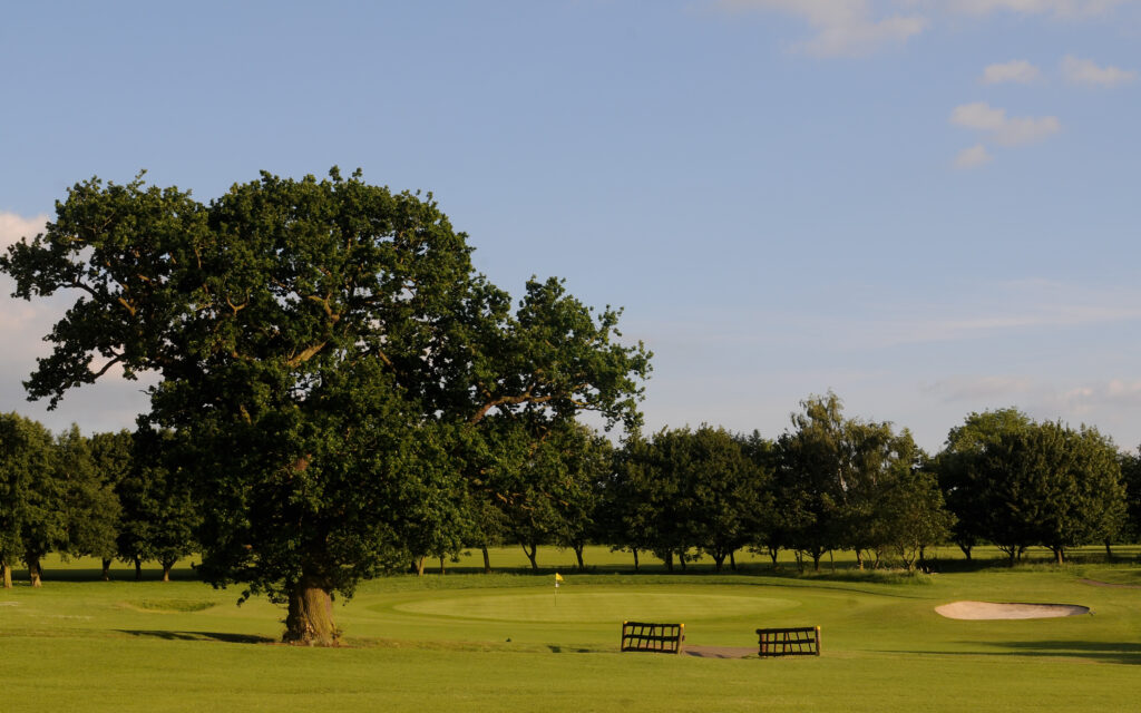 Hole with yellow flag and trees around at Best Western Ullesthorpe Golf Course