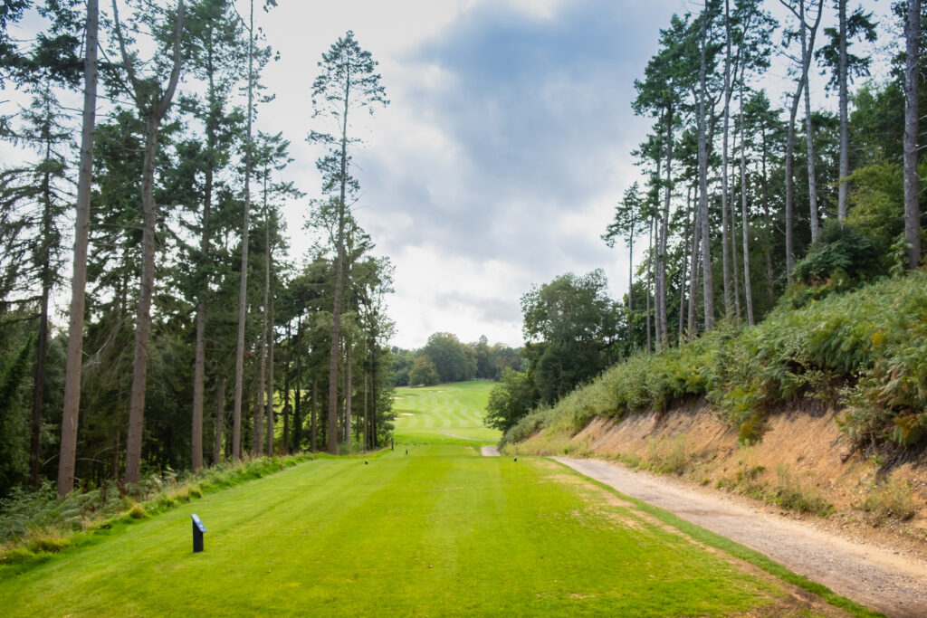 Tee box at Hilton Southampton - Utilita Bowl overlooking the fairway with trees around