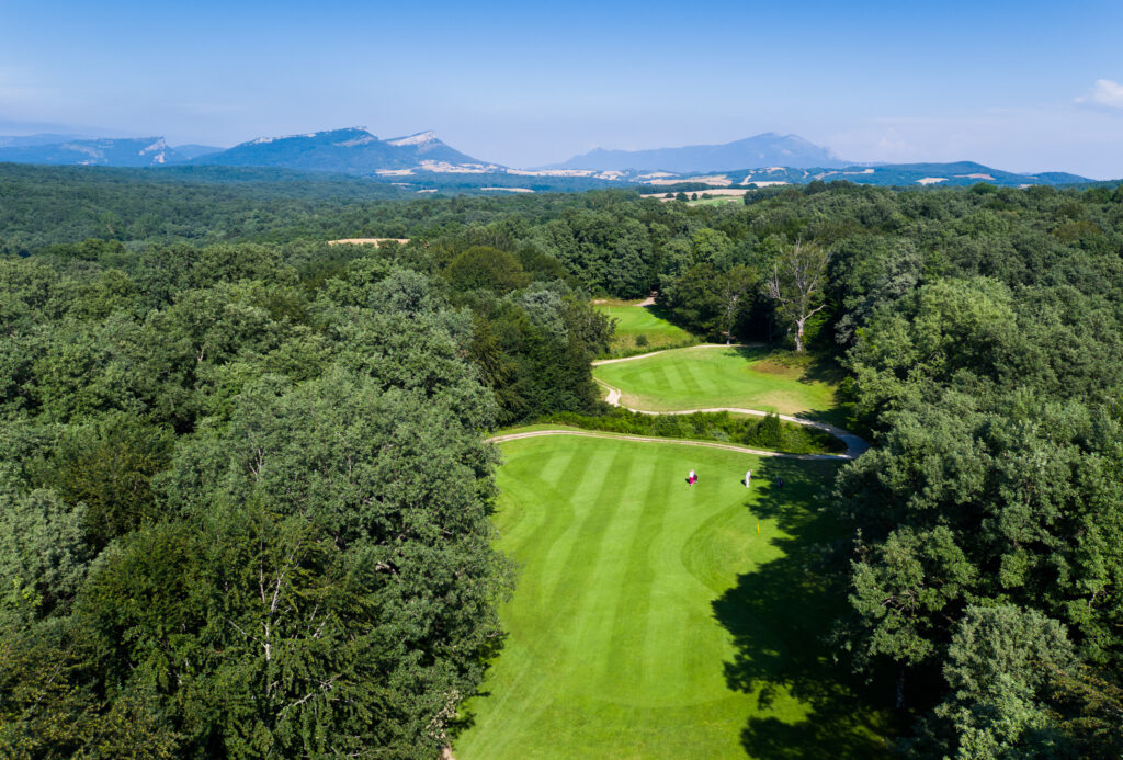 aerial picture of izki golf club with trees on the side