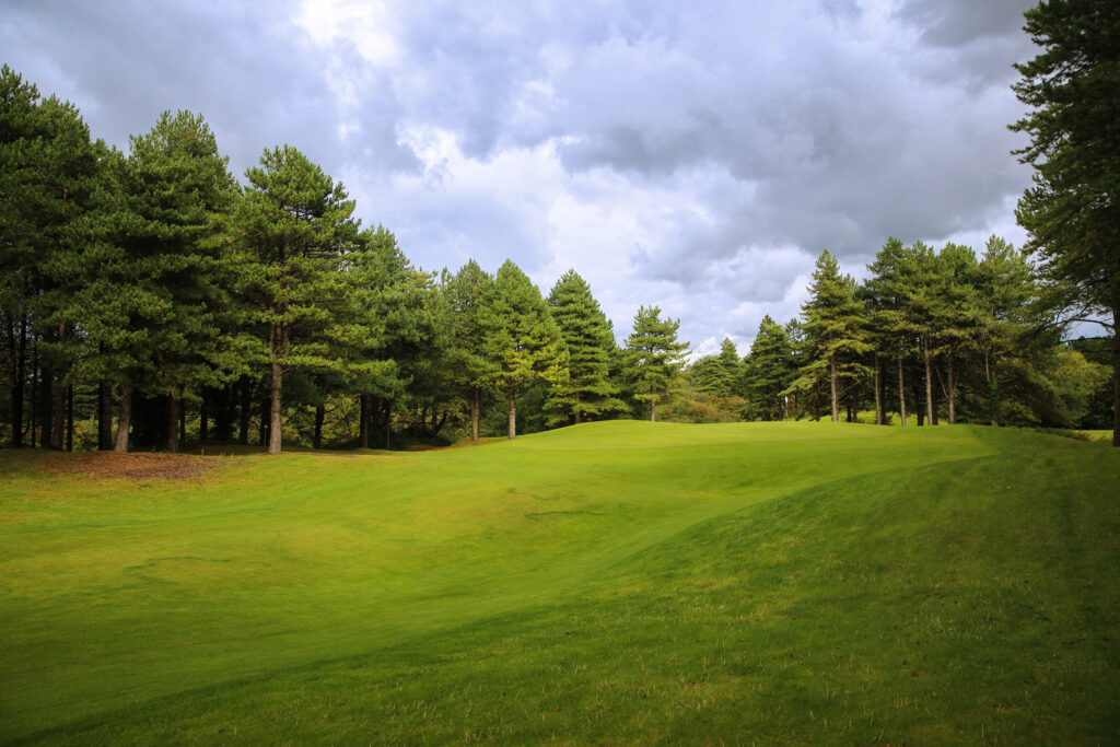 Fairway at Belle Dune with trees around