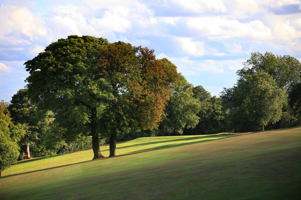 Trees on fairway at Breadsall Priory - Moorland Course