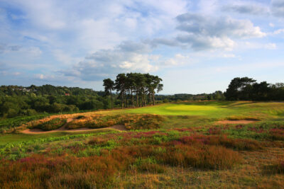 Fairway with bunkers and trees around at Broadstone Golf Club