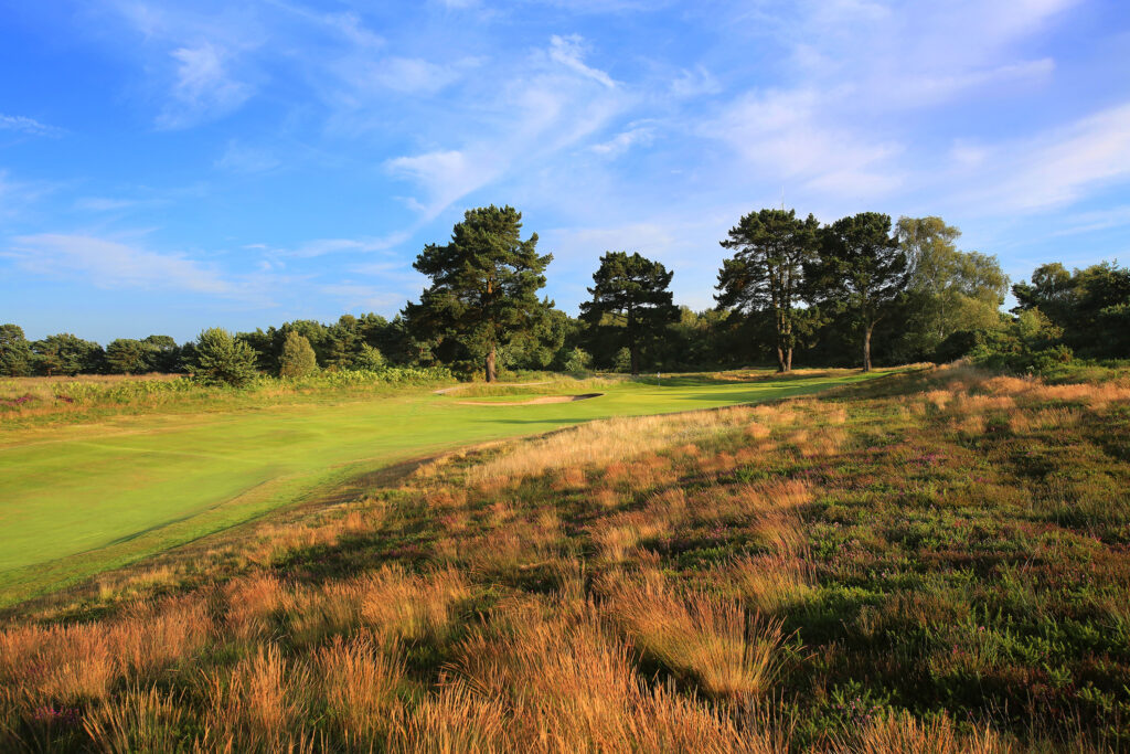 Fairway leading to hole with trees around at Broadstone Golf Club