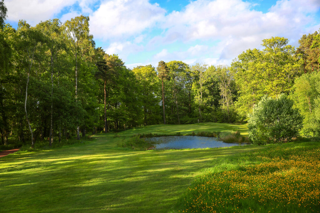 Fairway with trees and a water hazard at Macdonald Linden Hall Golf Course