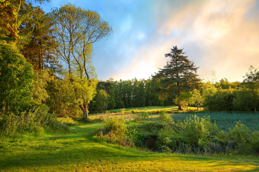 Fairway with trees around at Macdonald Linden Hall Golf Course