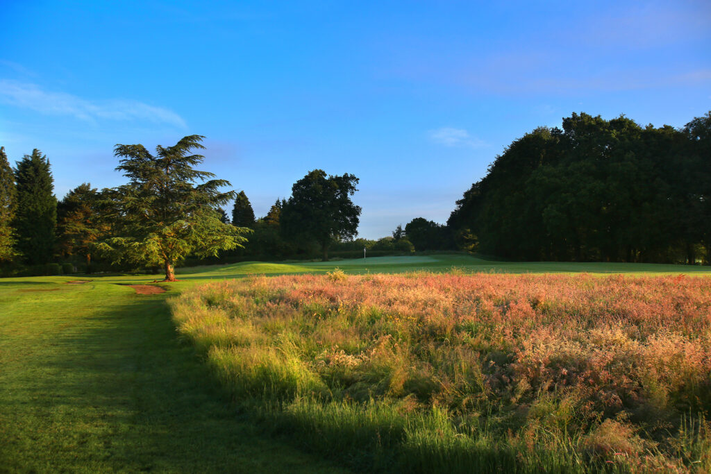 Fairway with trees around at Mottram Hall Golf Course