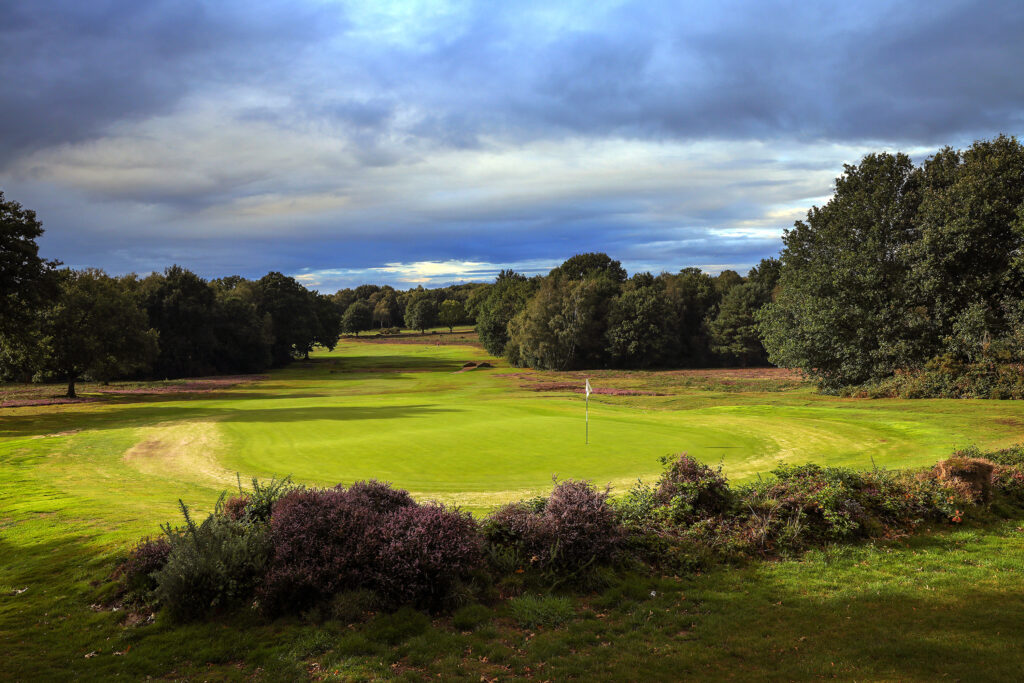 Hole with white flag with trees around at Piltdown Golf Club