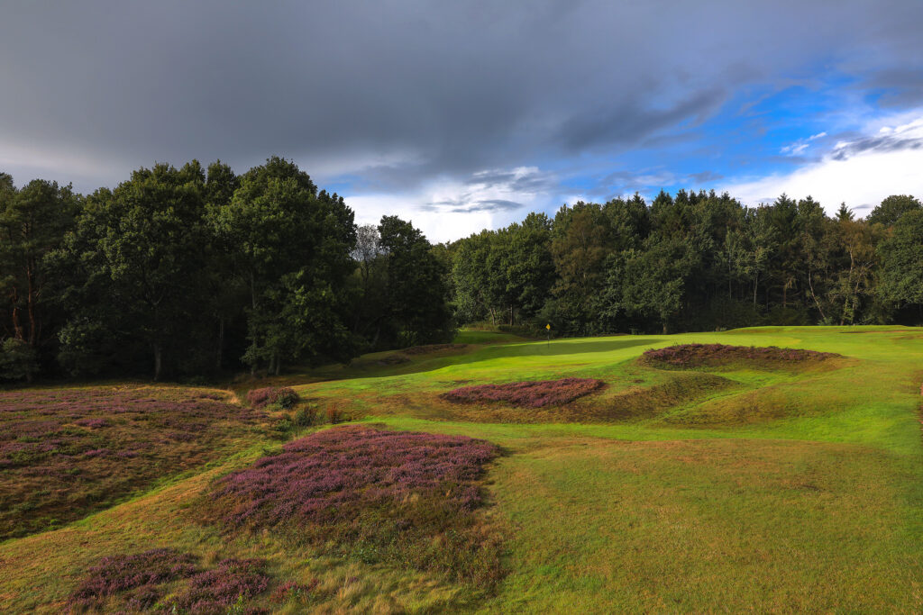 Fairway with trees around at Piltdown Golf Club