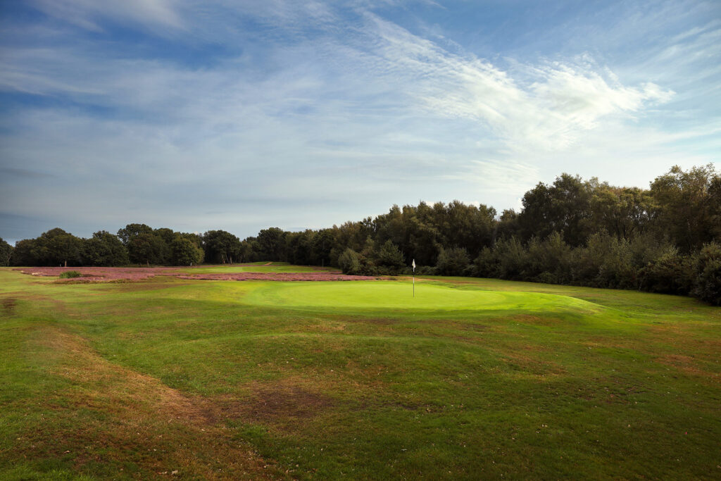 Hole with white flag and trees around at Piltdown Golf Club