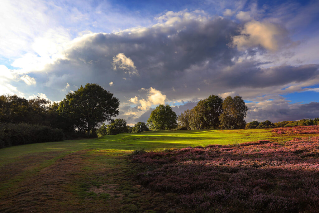 Fairway with trees and flowers around at Piltdown Golf Club