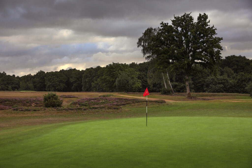 Hole with red flag with trees around at Piltdown Golf Club