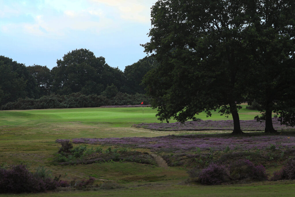 Hole with red flag with trees around at Piltdown Golf Club