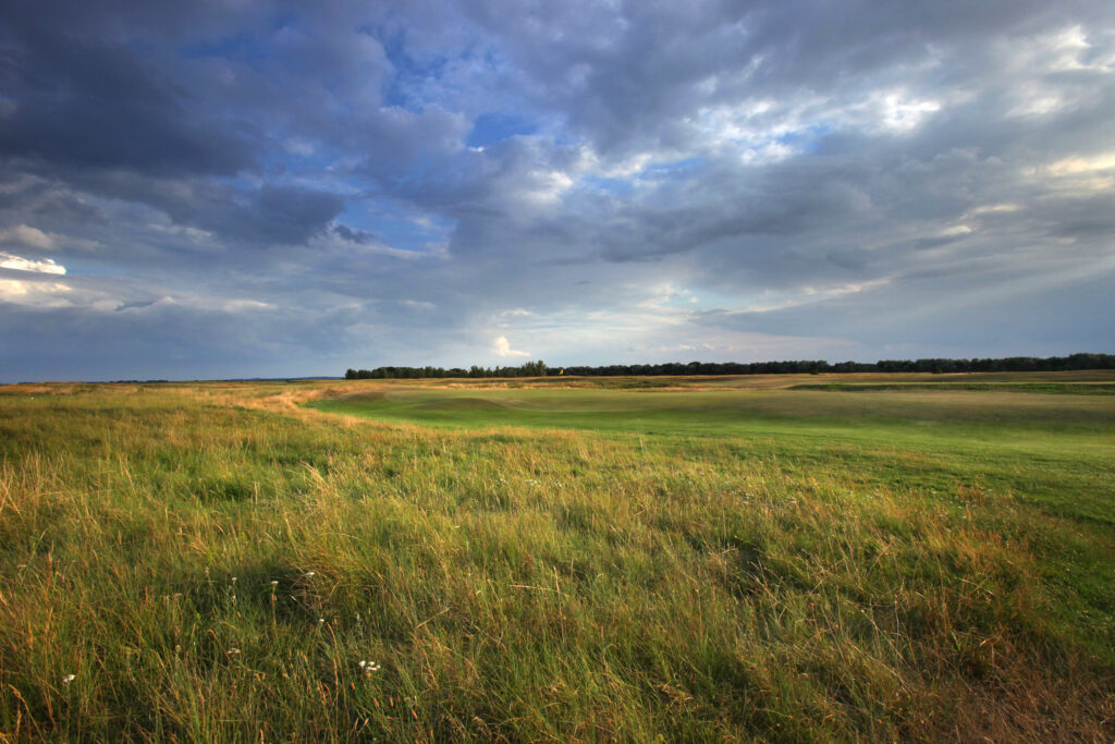 Fairway at Prince's Golf Club