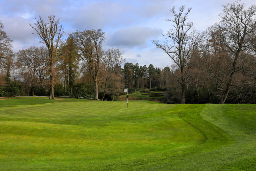 Hole with white flag at Remedy Oak Golf Club with trees around