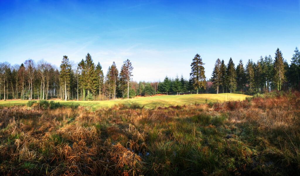 Fairway with trees around at Remedy Oak Golf Club