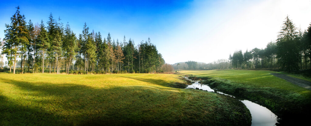 Fairway with trees around and stream running through at Remedy Oak Golf Club