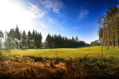 Fairway with trees around at Remedy Oak Golf Club