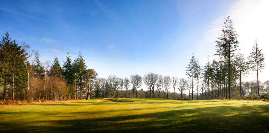 Fairway with trees around at Remedy Oak Golf Club