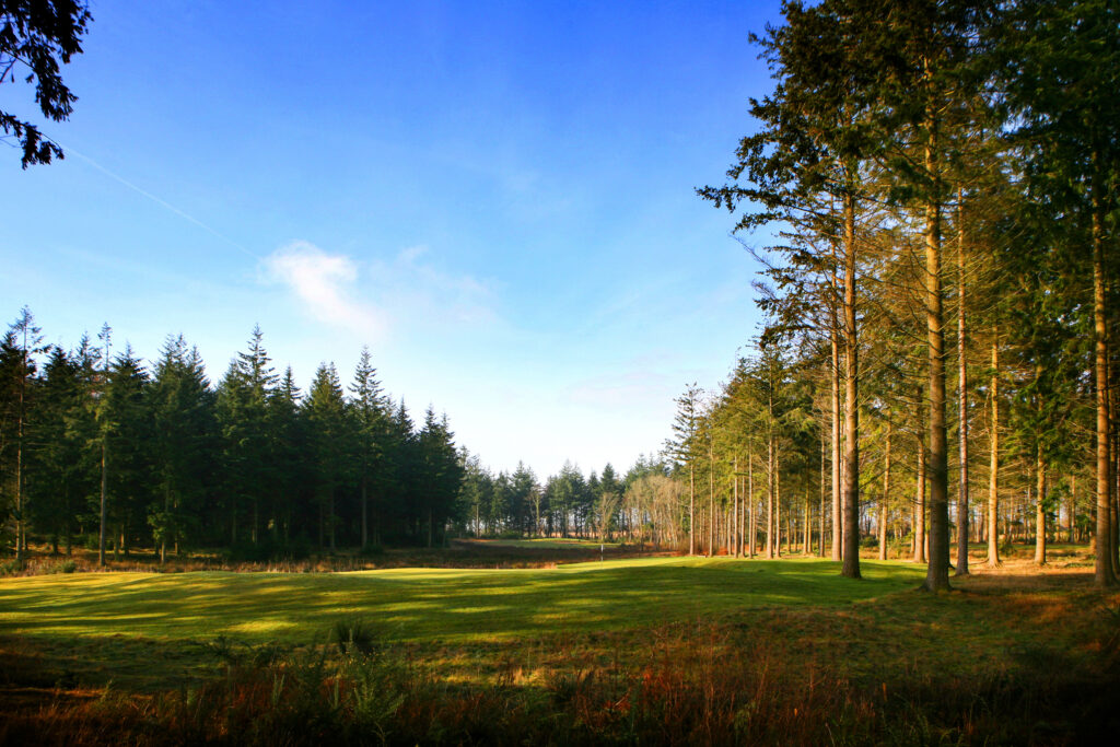 Fairway with trees around at Remedy Oak Golf Club