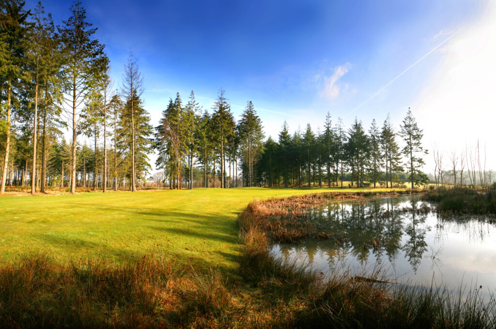 Fairway with trees around and water hazard at Remedy Oak Golf Club